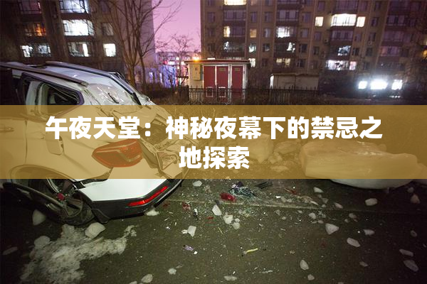 午夜天堂：神秘夜幕下的禁忌之地探索