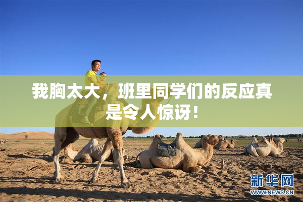 我胸太大，班里同学们的反应真是令人惊讶！