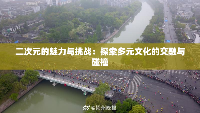 二次元的魅力与挑战：探索多元文化的交融与碰撞