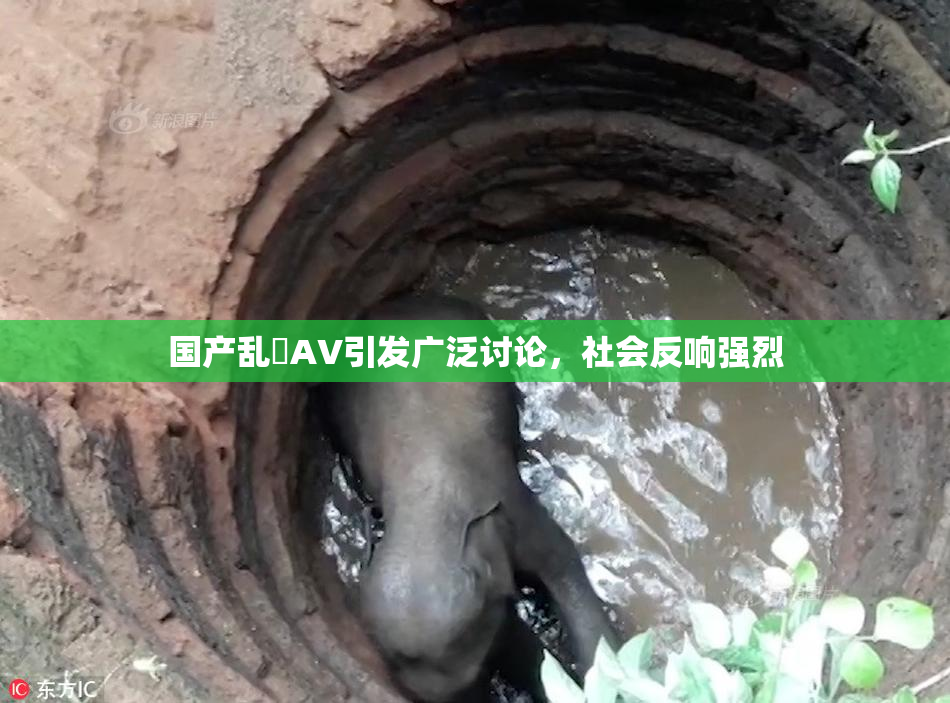 国产乱婬AV引发广泛讨论，社会反响强烈