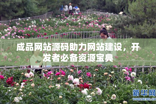 成品网站源码助力网站建设，开发者必备资源宝典