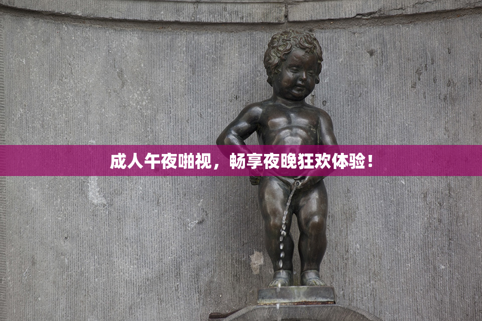 成人午夜啪视，畅享夜晚狂欢体验！