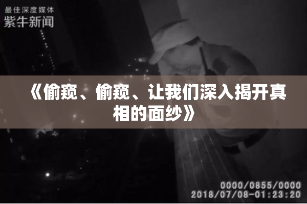 《偷窥、偷窥、让我们深入揭开真相的面纱》