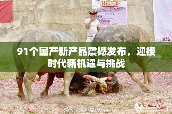 91个国产新产品震撼发布，迎接时代新机遇与挑战