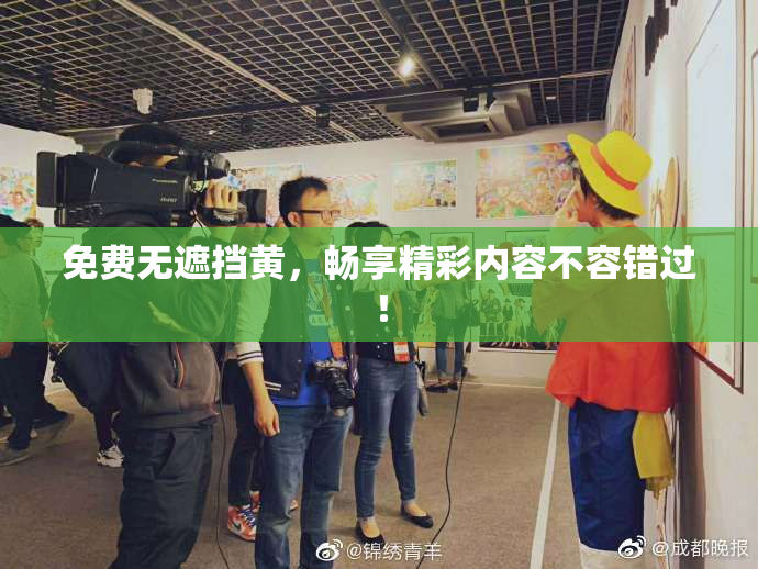 免费无遮挡黄，畅享精彩内容不容错过！