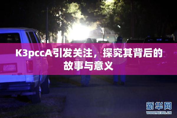 K3pccA引发关注，探究其背后的故事与意义