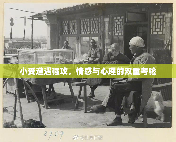 小受遭遇强攻，情感与心理的双重考验