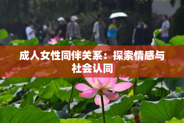 成人女性同伴关系：探索情感与社会认同