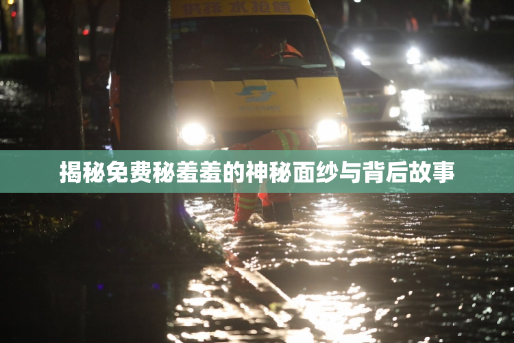 揭秘免费秘羞羞的神秘面纱与背后故事