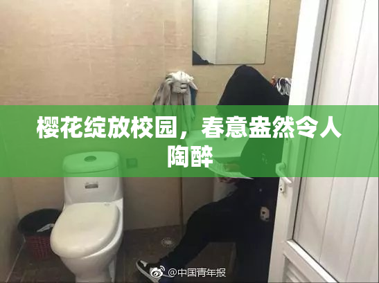 樱花绽放校园，春意盎然令人陶醉