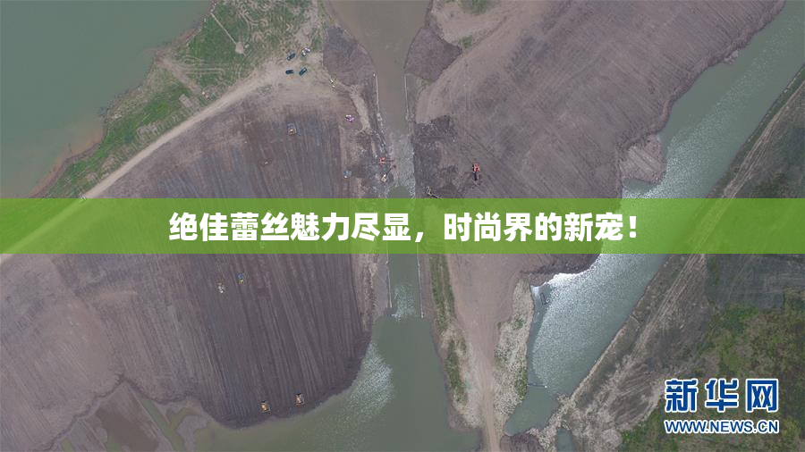 绝佳蕾丝魅力尽显，时尚界的新宠！