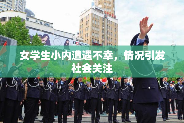 女学生小内遭遇不幸，情况引发社会关注