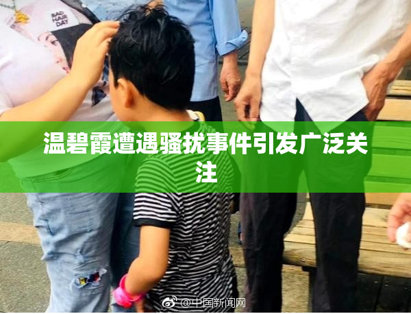 温碧霞遭遇骚扰事件引发广泛关注