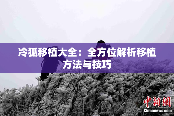 冷狐移植大全：全方位解析移植方法与技巧