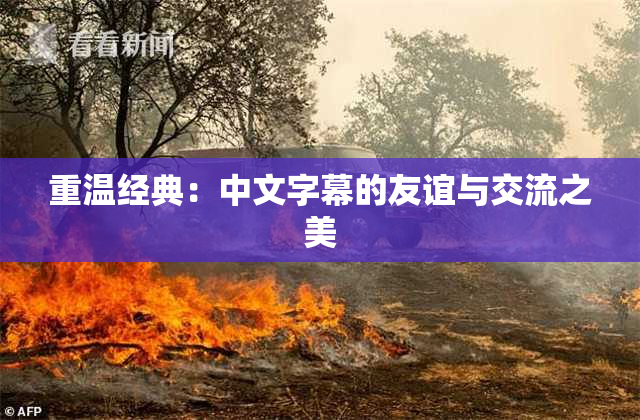 重温经典：中文字幕的友谊与交流之美