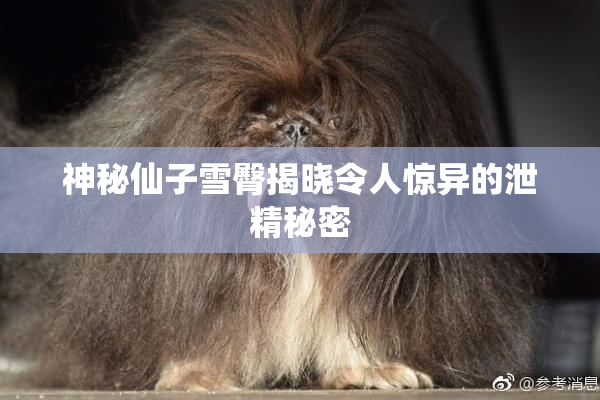 神秘仙子雪臀揭晓令人惊异的泄精秘密