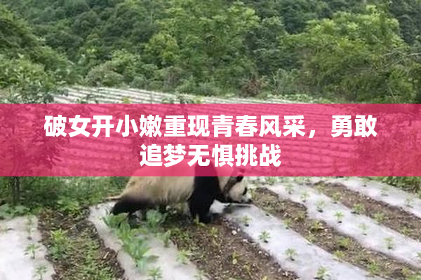 破女开小嫩重现青春风采，勇敢追梦无惧挑战