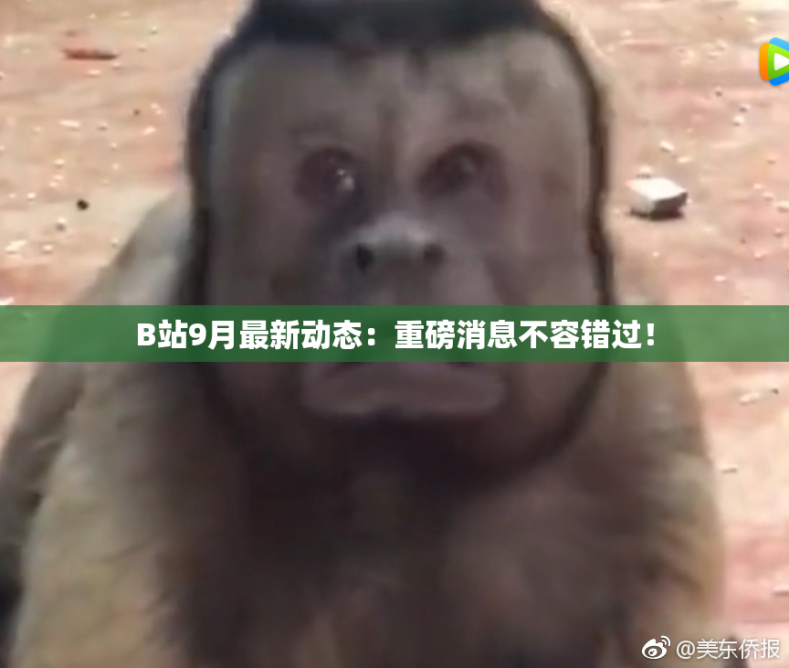 B站9月最新动态：重磅消息不容错过！