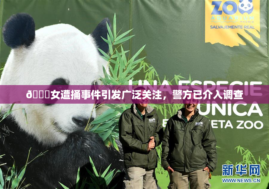 🔞女遭捅事件引发广泛关注，警方已介入调查