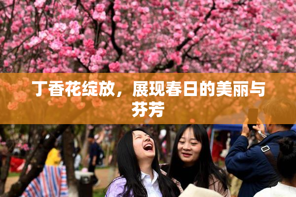 丁香花绽放，展现春日的美丽与芬芳