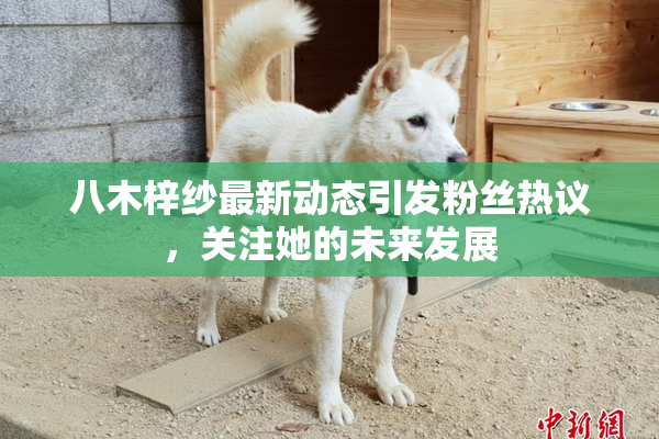 八木梓纱最新动态引发粉丝热议，关注她的未来发展