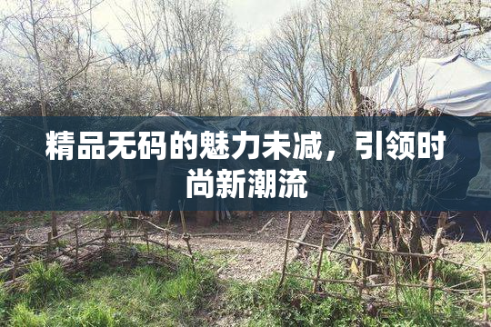 精品无码的魅力未减，引领时尚新潮流