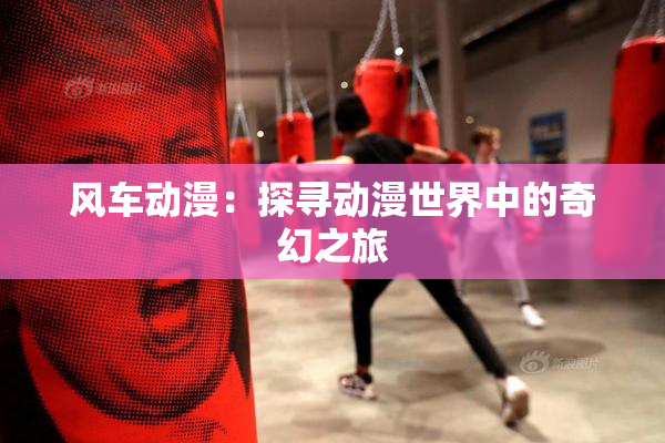 风车动漫：探寻动漫世界中的奇幻之旅