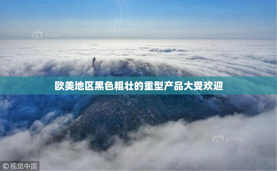欧美地区黑色粗壮的重型产品大受欢迎