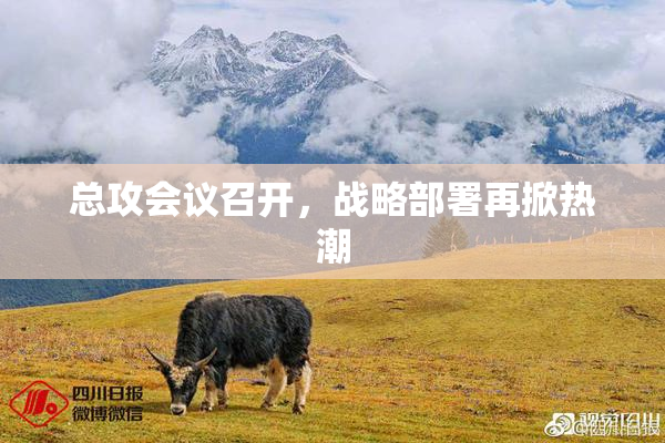 总攻会议召开，战略部署再掀热潮