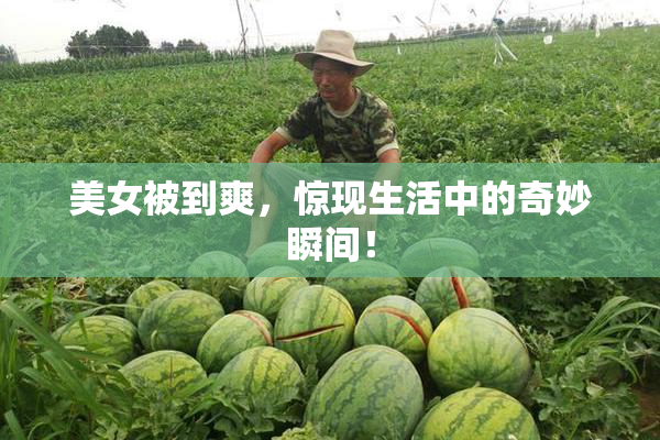 美女被到爽，惊现生活中的奇妙瞬间！