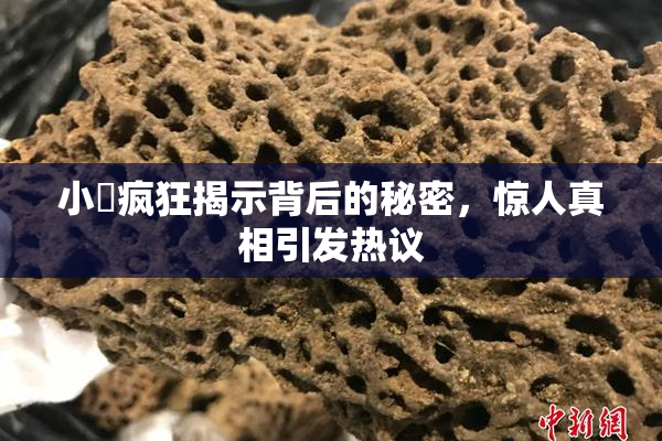 小泬疯狂揭示背后的秘密，惊人真相引发热议