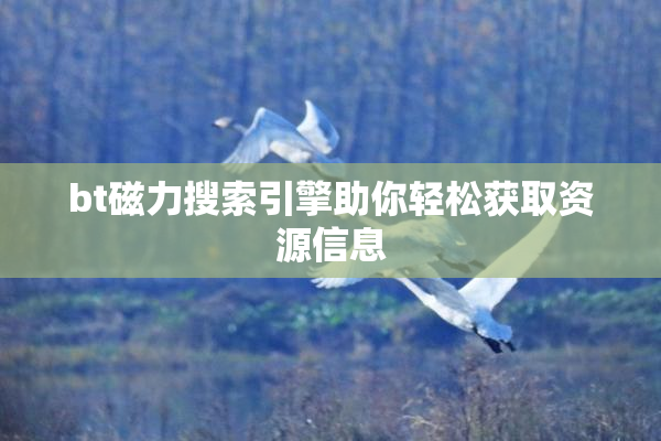 bt磁力搜索引擎助你轻松获取资源信息