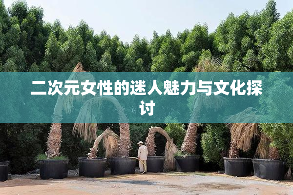 二次元女性的迷人魅力与文化探讨