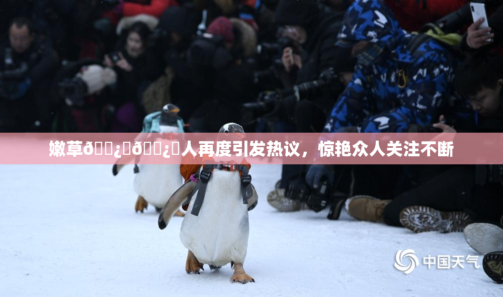 嫩草🌿‌🌿‌人再度引发热议，惊艳众人关注不断