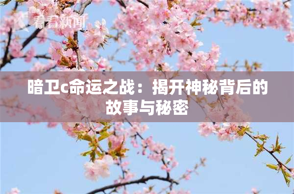 暗卫c命运之战：揭开神秘背后的故事与秘密