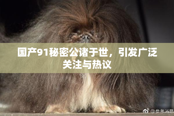 国产91秘密公诸于世，引发广泛关注与热议
