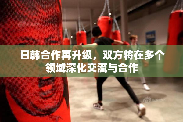 日韩合作再升级，双方将在多个领域深化交流与合作
