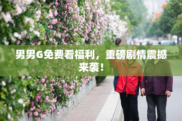 男男G免费看福利，重磅剧情震撼来袭！