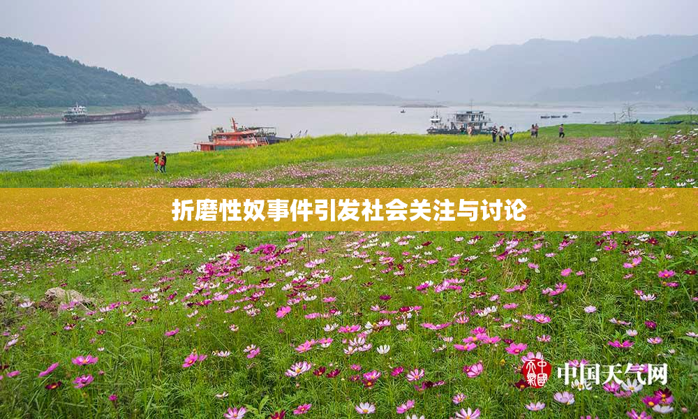 折磨性奴事件引发社会关注与讨论