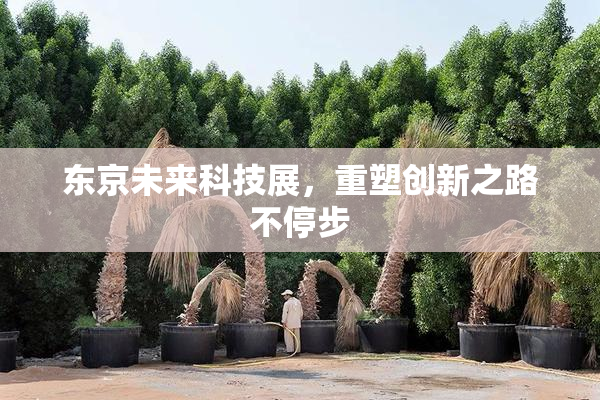 东京未来科技展，重塑创新之路不停步