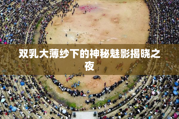 双乳大薄纱下的神秘魅影揭晓之夜