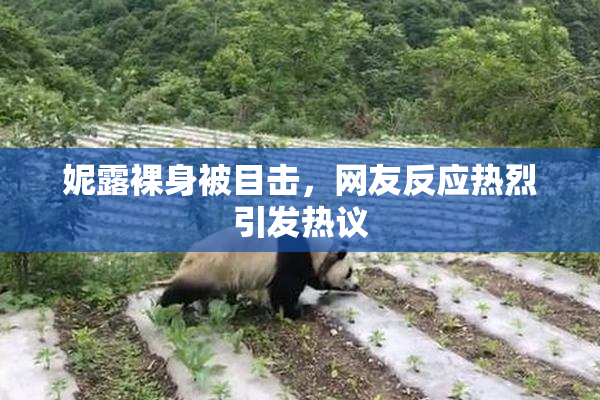 妮露裸身被目击，网友反应热烈引发热议