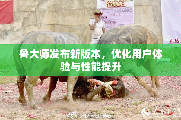 鲁大师发布新版本，优化用户体验与性能提升
