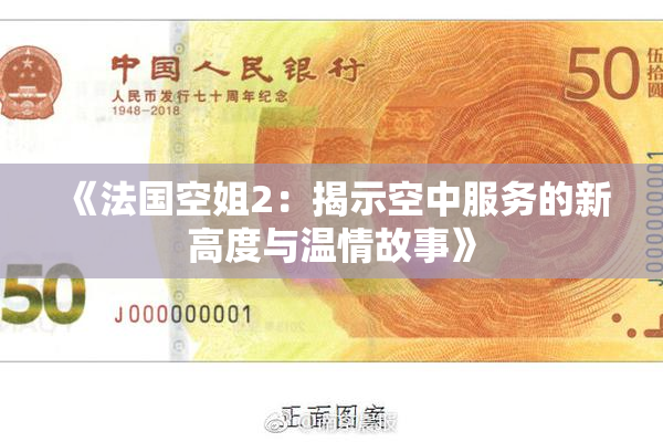 《法国空姐2：揭示空中服务的新高度与温情故事》