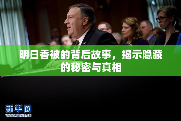 明日香被的背后故事，揭示隐藏的秘密与真相