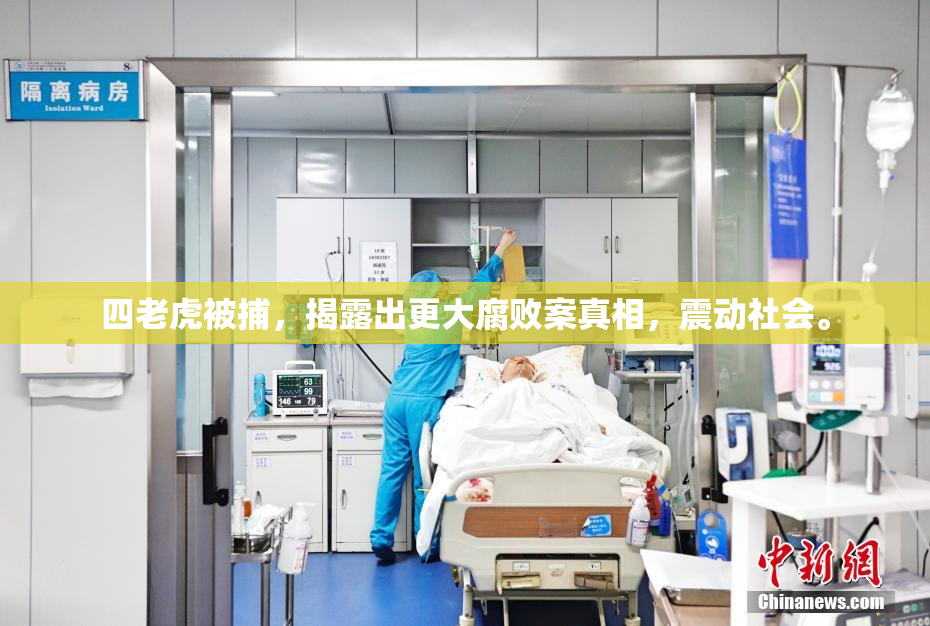 四老虎被捕，揭露出更大腐败案真相，震动社会。