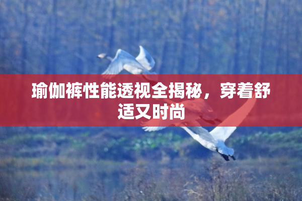 瑜伽裤性能透视全揭秘，穿着舒适又时尚