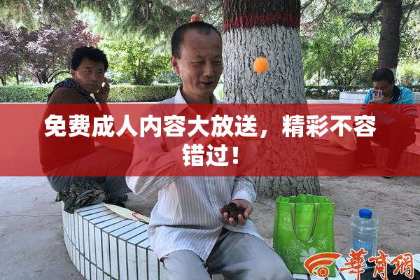 免费成人内容大放送，精彩不容错过！