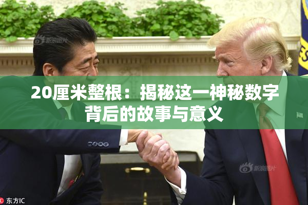20厘米整根：揭秘这一神秘数字背后的故事与意义