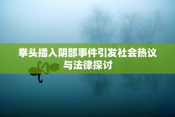 拳头插入阴部事件引发社会热议与法律探讨